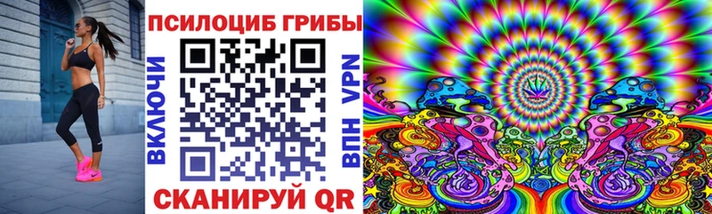 это телеграм  купить закладку  Павловская  Псилоцибиновые грибы Psilocybine cubensis 